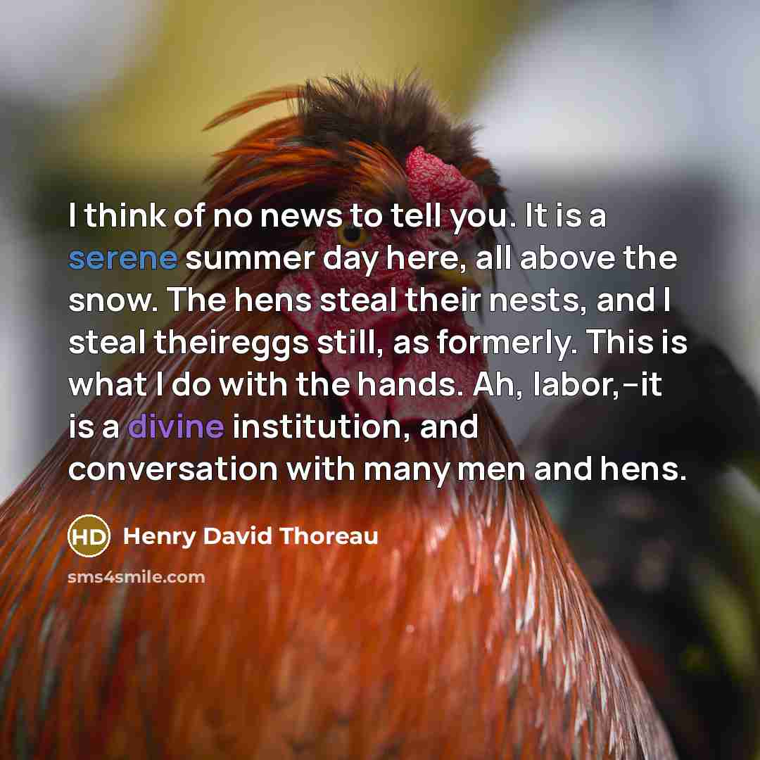 “I think of no news to tell you. It is…” quote by Henry David Thoreau