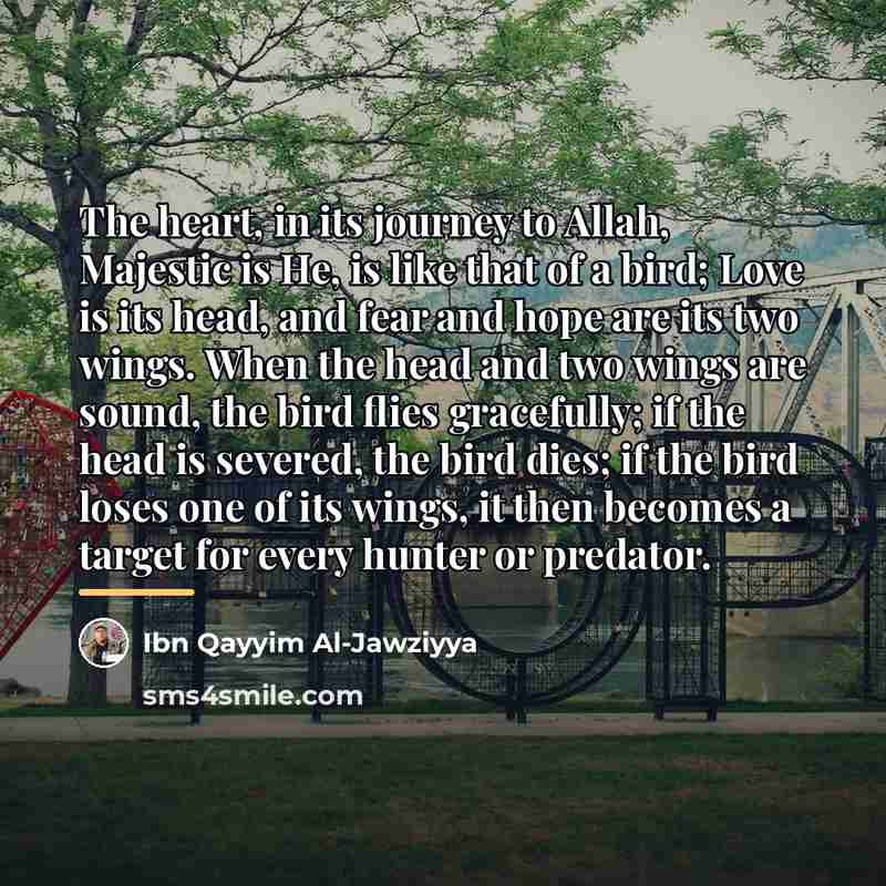 “The heart, in its journey to Allah, Majestic is He,…” quote by Ibn Qayyim Al-Jawziyya