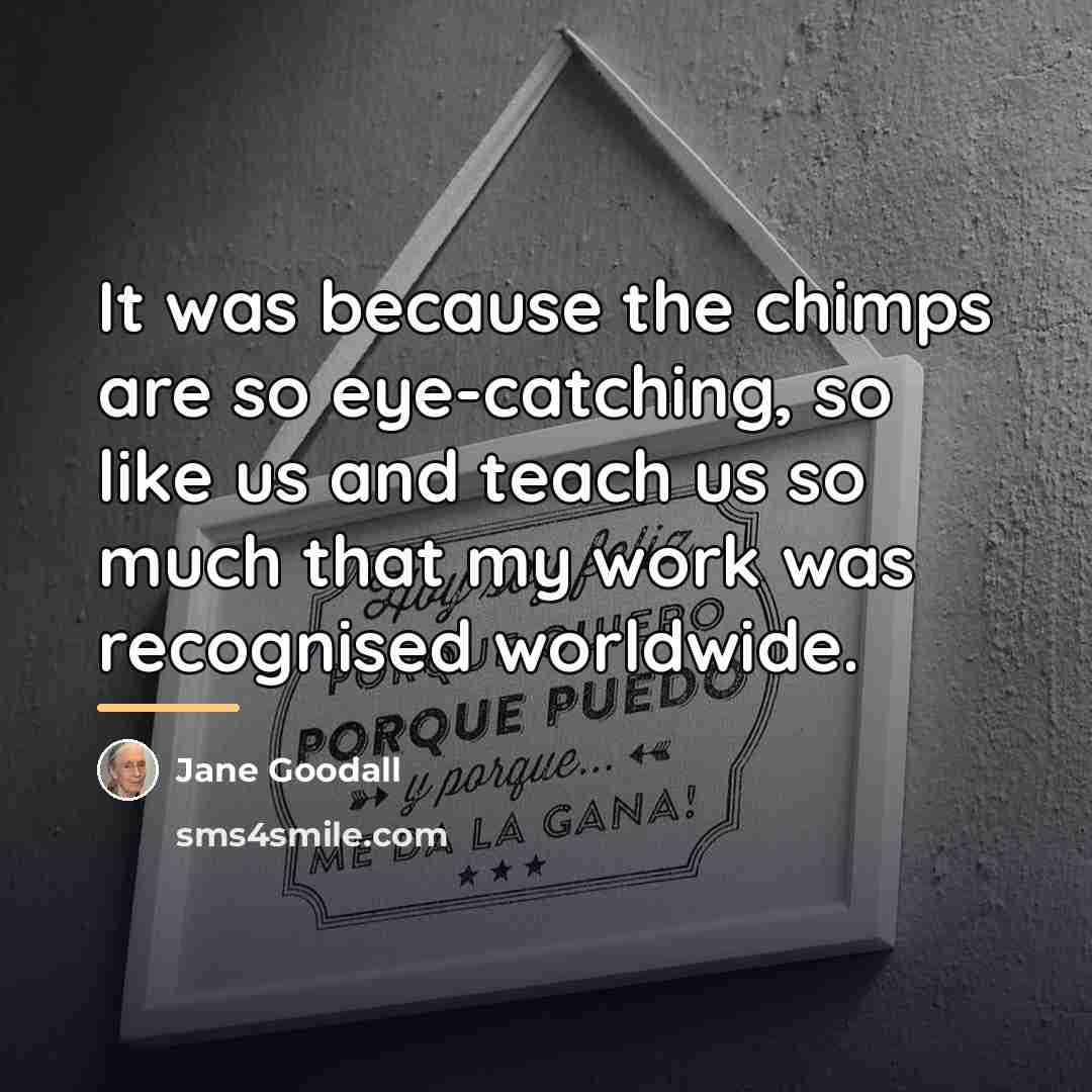 “It was because the chimps are so eye-catching, so like…” quote by Jane Goodall
