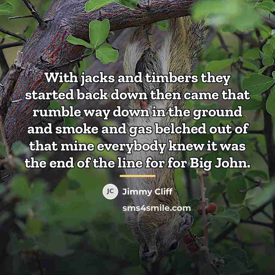 “With jacks and timbers they started back down then came…” quote by Jimmy Cliff