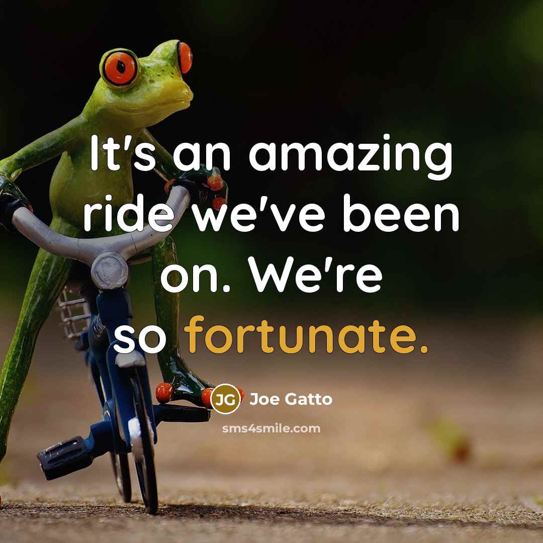 “It's an amazing ride we've been on. We're so fortunate.…” quote by Joe Gatto