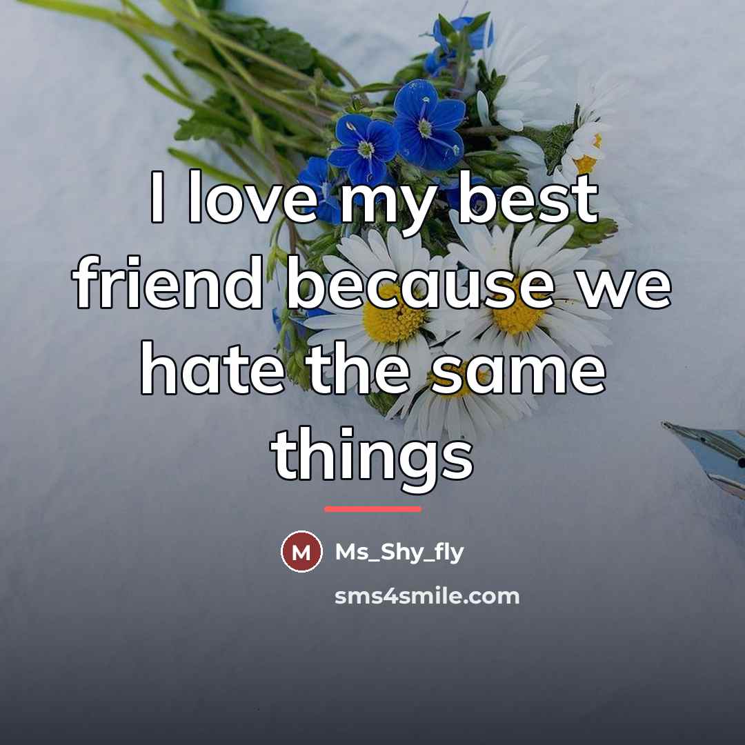 “I love my best friend because we hate the same…” quote by Ms_shy_fly