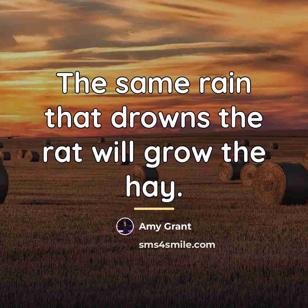 “The same rain that drowns the rat will grow the…” quote by Amy Grant