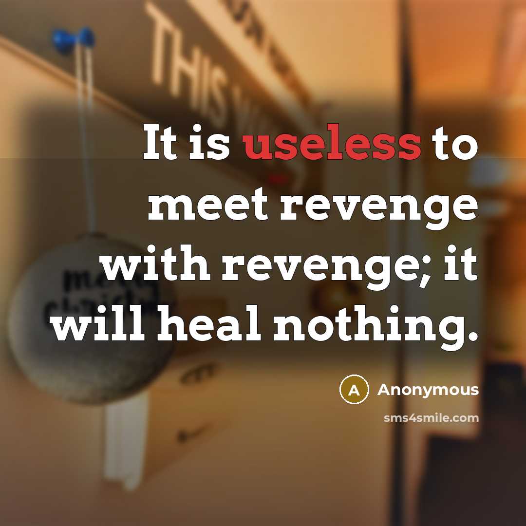 “It is useless to meet revenge with revenge; it will…” quote by Anonymous