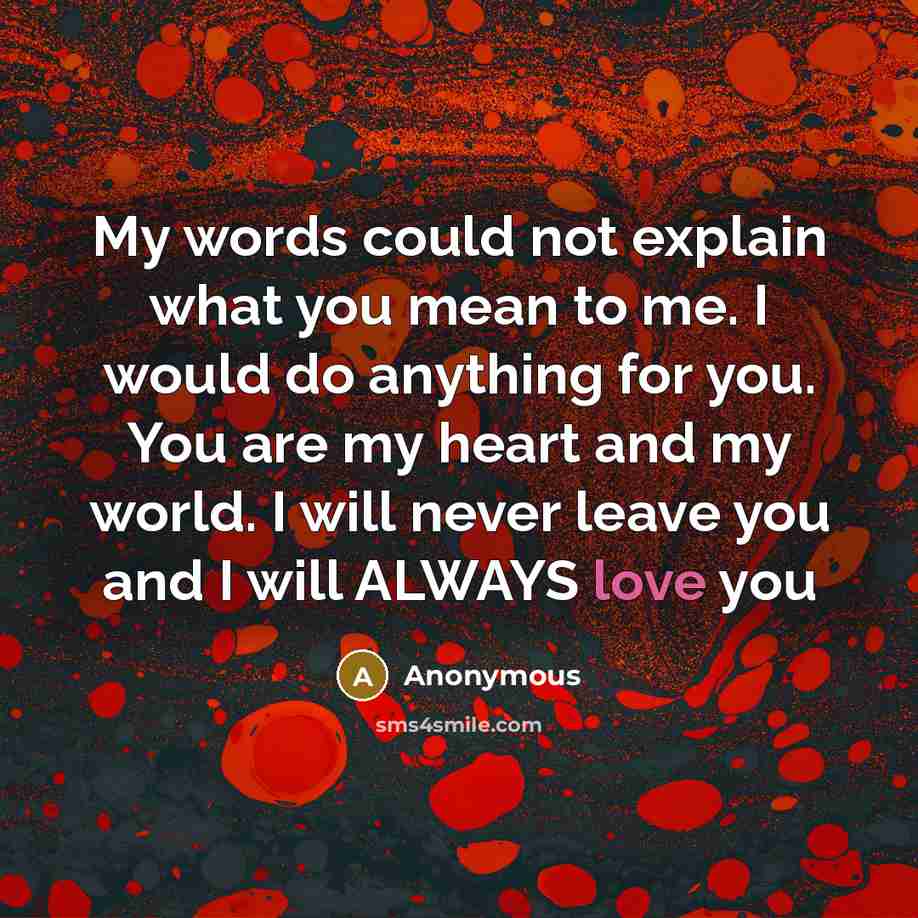 “My words could not explain what you mean to me. I would do anything for you. You are my heart and my world. I will never leave you and I will ALWAYS love you” quote by Anonymous