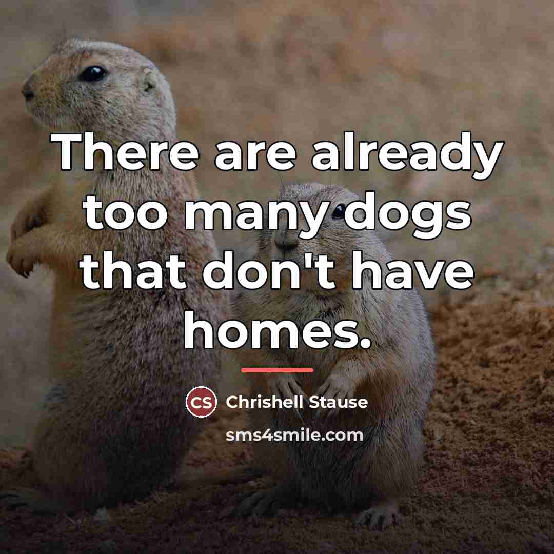 “There are already too many dogs that don't have homes.…” quote by Chrishell Stause