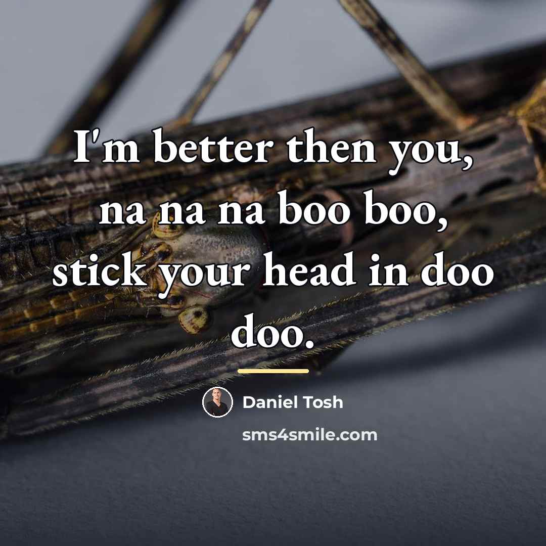 “I'm better then you, na na na boo boo, stick…” quote by Daniel Tosh