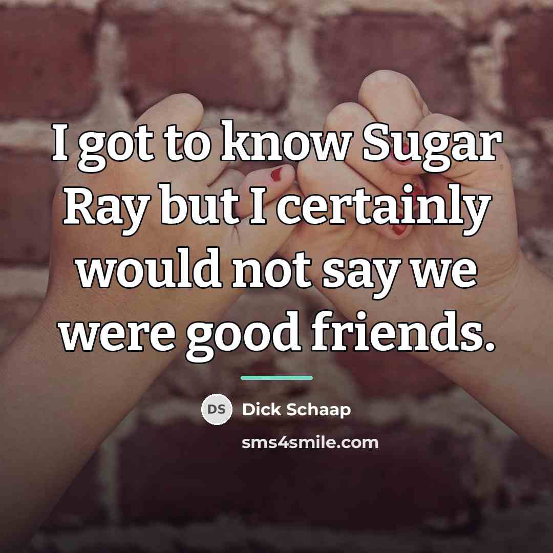 “I got to know Sugar Ray but I certainly would…” quote by Dick Schaap