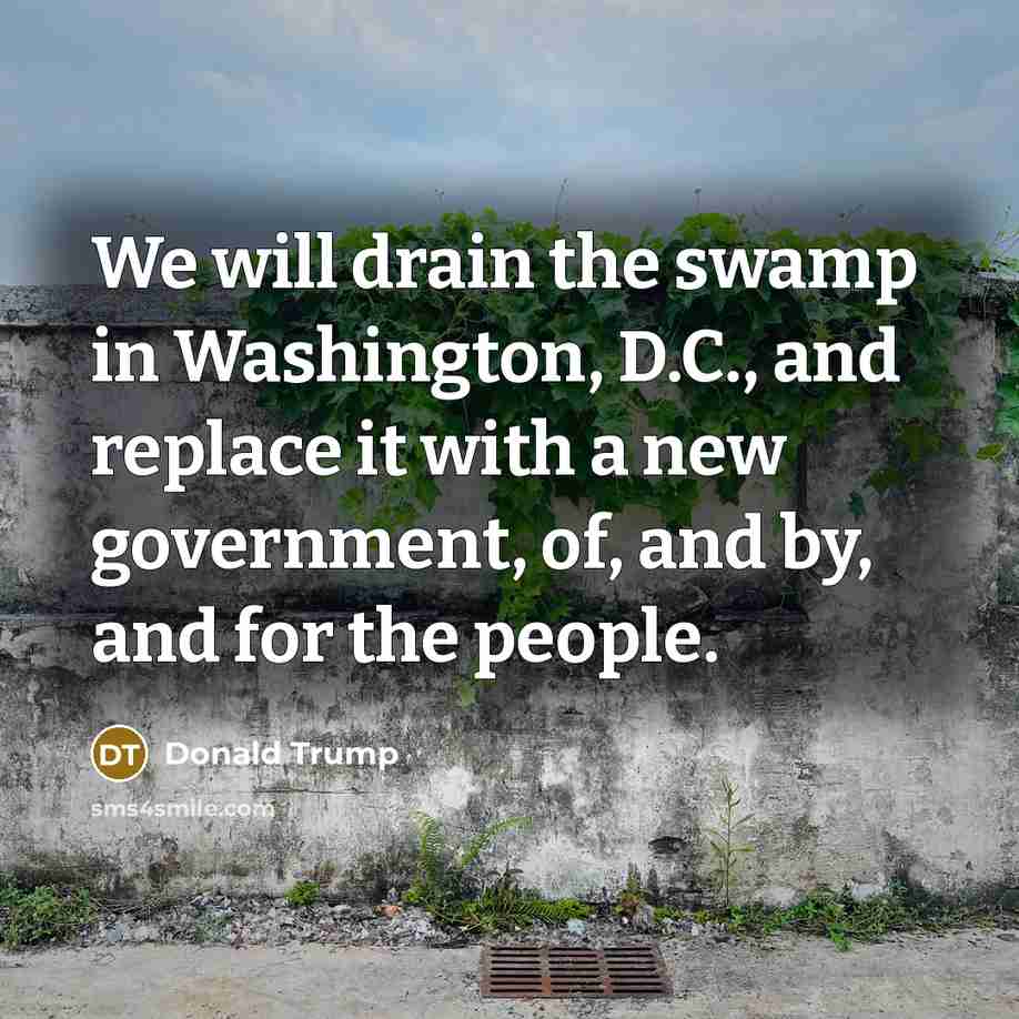 “We will drain the swamp in Washington, D.C., and replace…” quote by Donald Trump