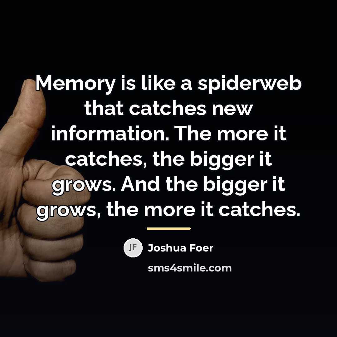 “Memory is like a spiderweb that catches new information. The…” quote by Joshua Foer