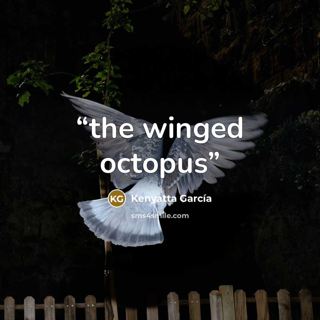 “the winged octopus” quote by Kenyatta García