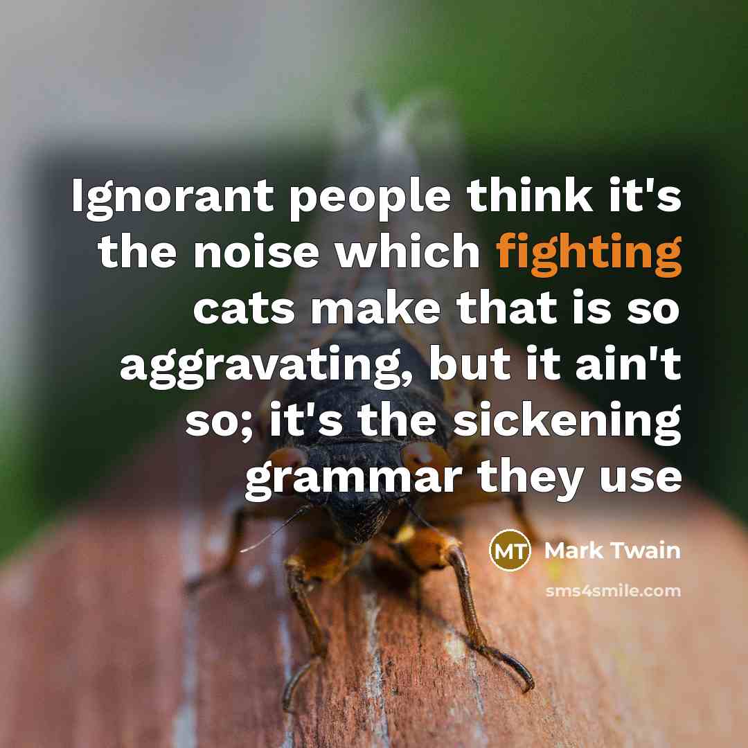 “Ignorant people think it's the noise which fighting cats make…” quote by Mark Twain