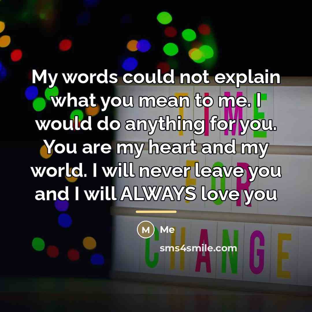 “My words could not explain what you mean to me.…” quote by Me