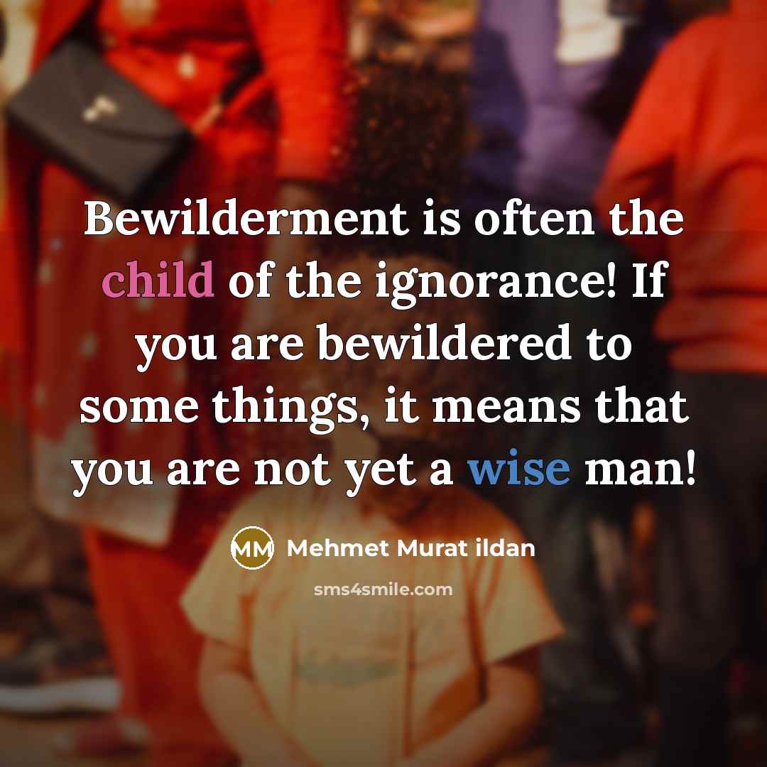 “Bewilderment is often the child of the ignorance! If you…” quote by Mehmet Murat Ildan