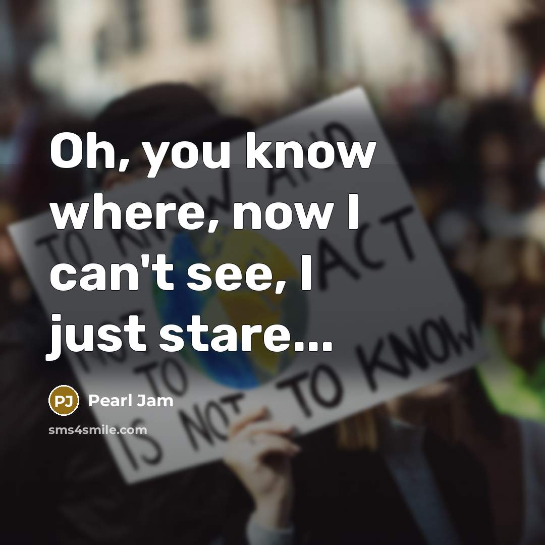 “Oh, you know where, now I can't see, I just…” quote by Pearl Jam