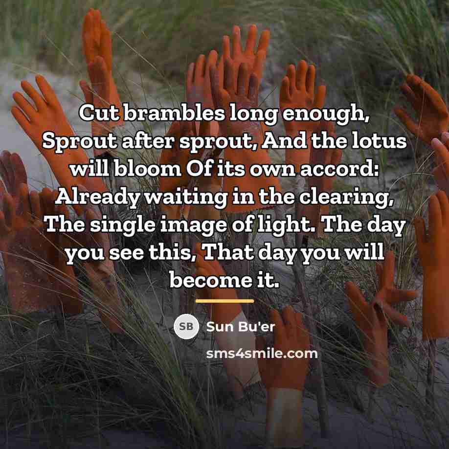 “Cut brambles long enough, Sprout after sprout, And the lotus…” quote by Sun Bu'er