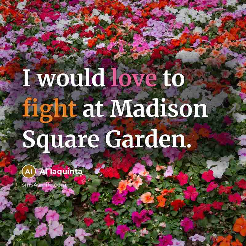 “I would love to fight at Madison Square Garden.…” quote by Al Iaquinta