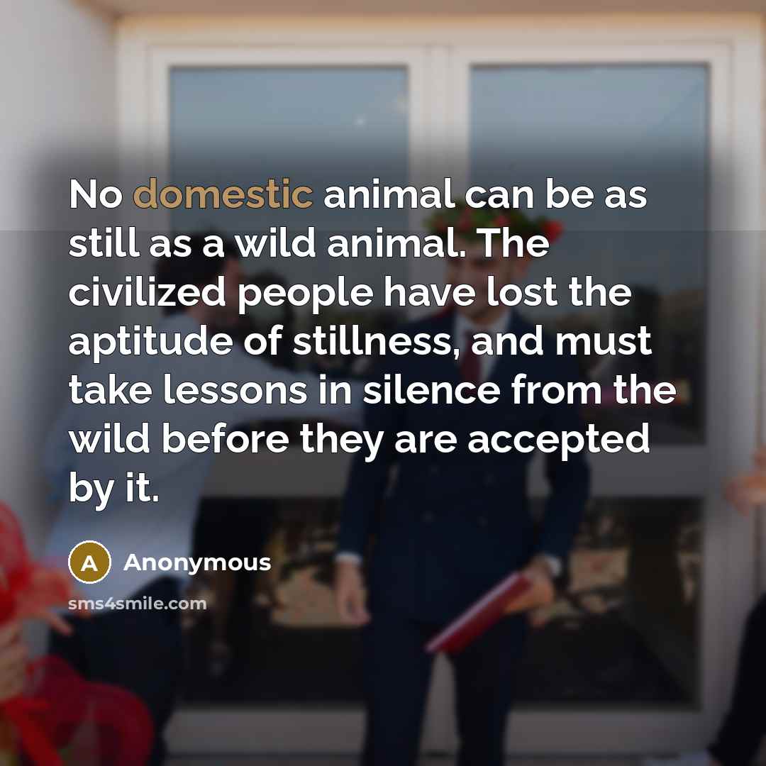 “No domestic animal can be as still as a wild…” quote by Anonymous