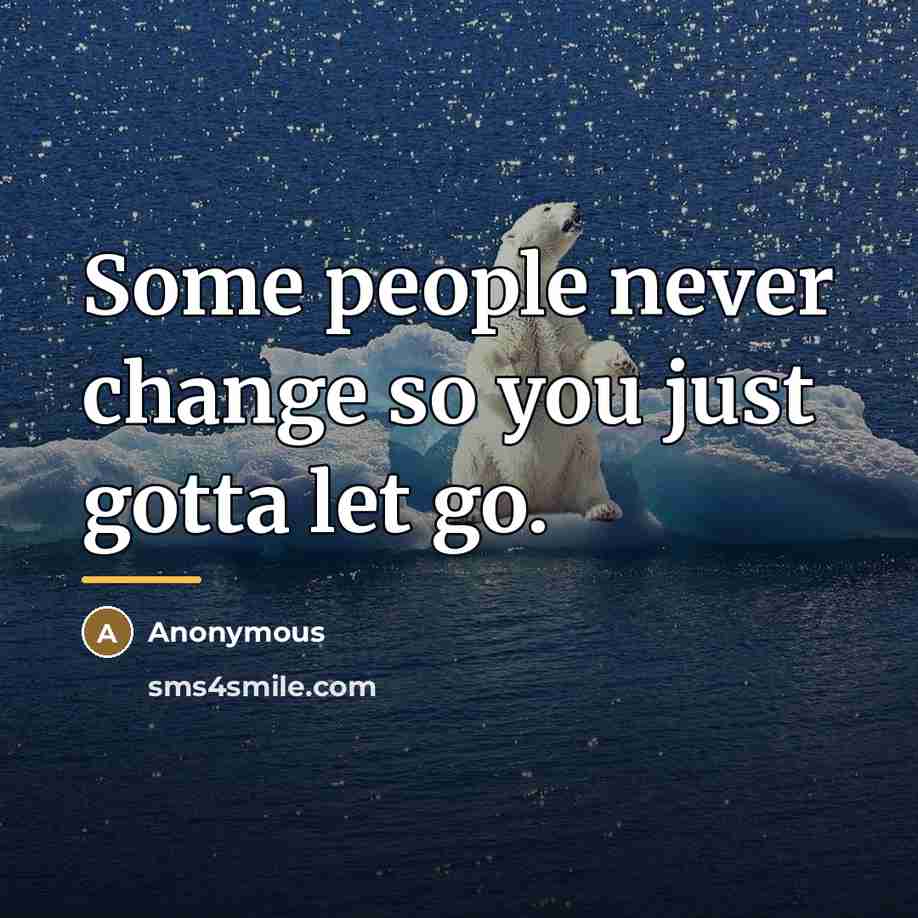 “Some people never change so you just gotta let go.…” quote by Anonymous
