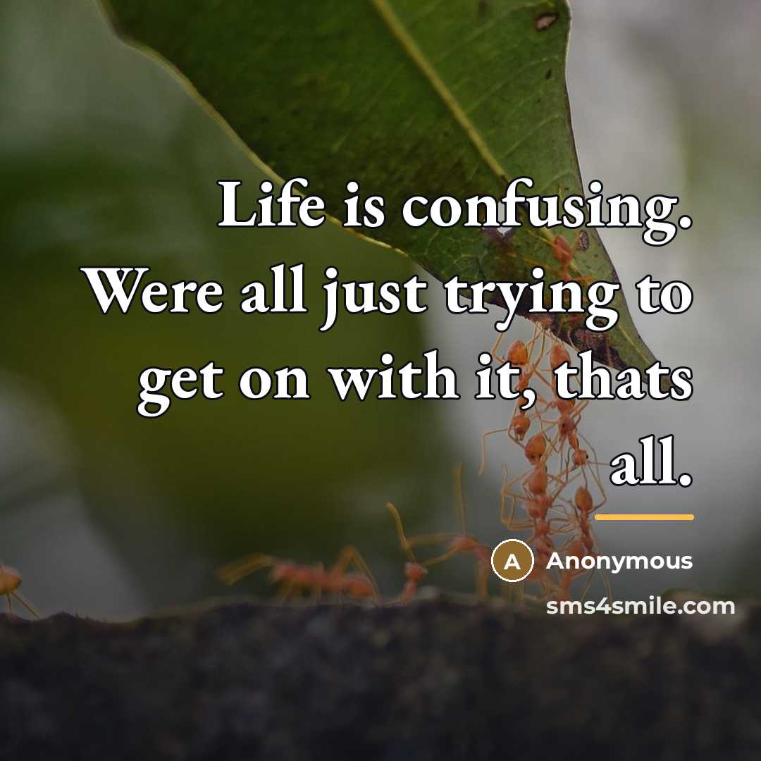 “Life is confusing. Were all just trying to get on…” quote by Anonymous