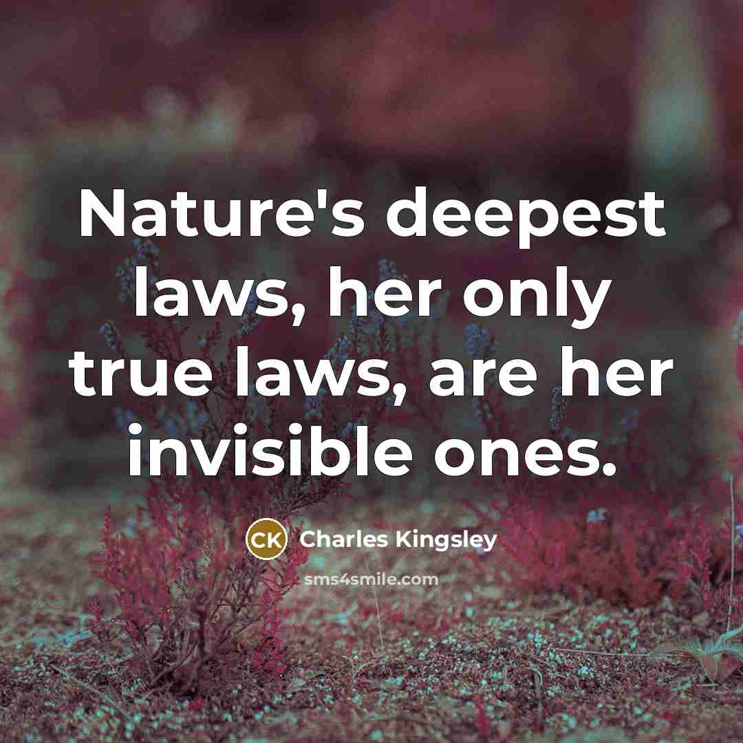 “Nature's deepest laws, her only true laws, are her invisible…” quote by Charles Kingsley