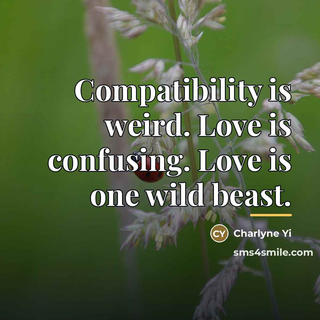 “Compatibility is weird. Love is confusing. Love is one wild…” quote by Charlyne Yi