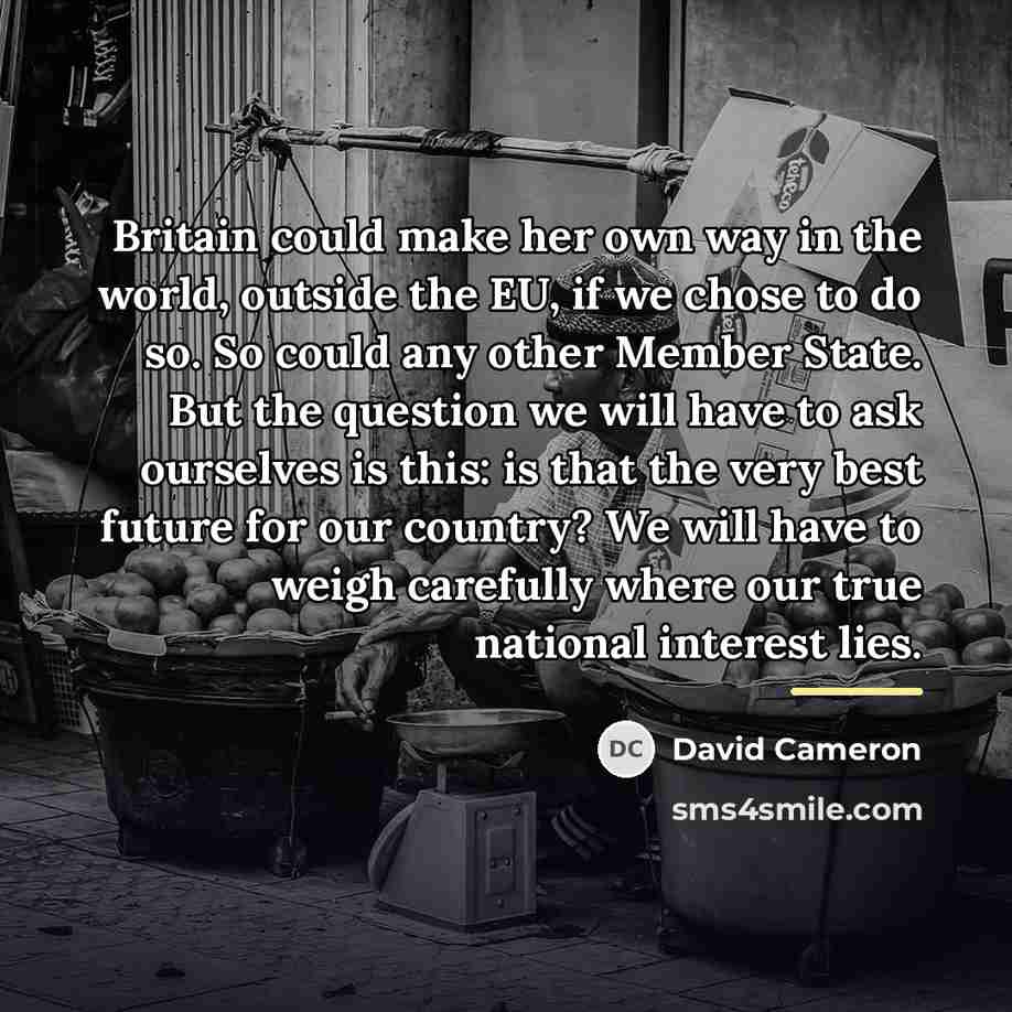 “Britain could make her own way in the world, outside…” quote by David Cameron
