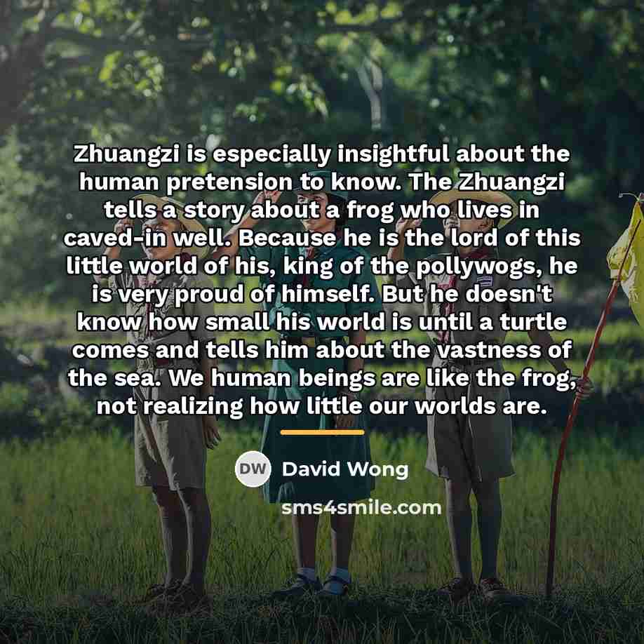 “Zhuangzi is especially insightful about the human pretension to know.…” quote by David Wong