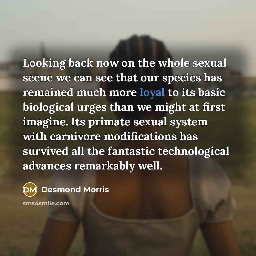 “Looking back now on the whole sexual scene we can…” quote by Desmond Morris