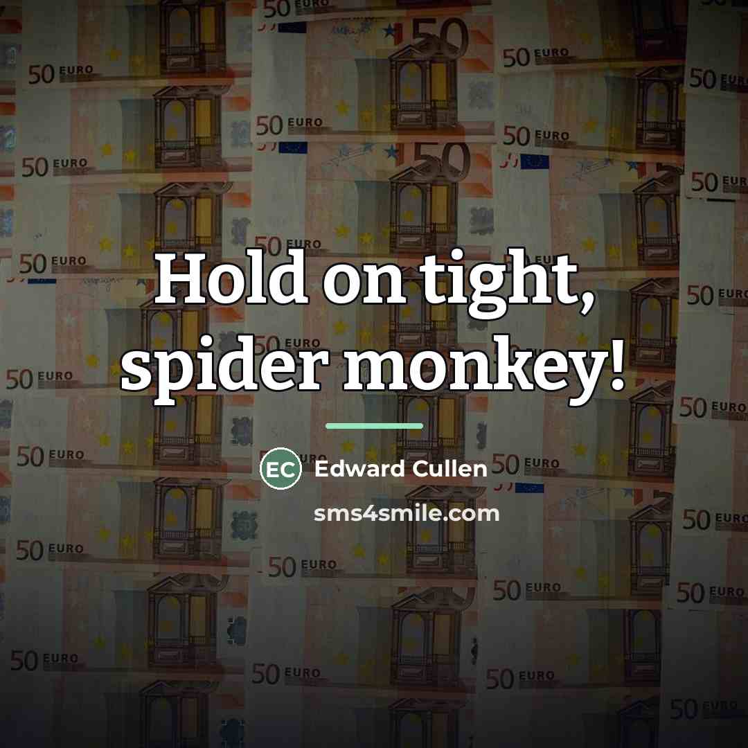 “Hold on tight, spider monkey!…” quote by Edward Cullen