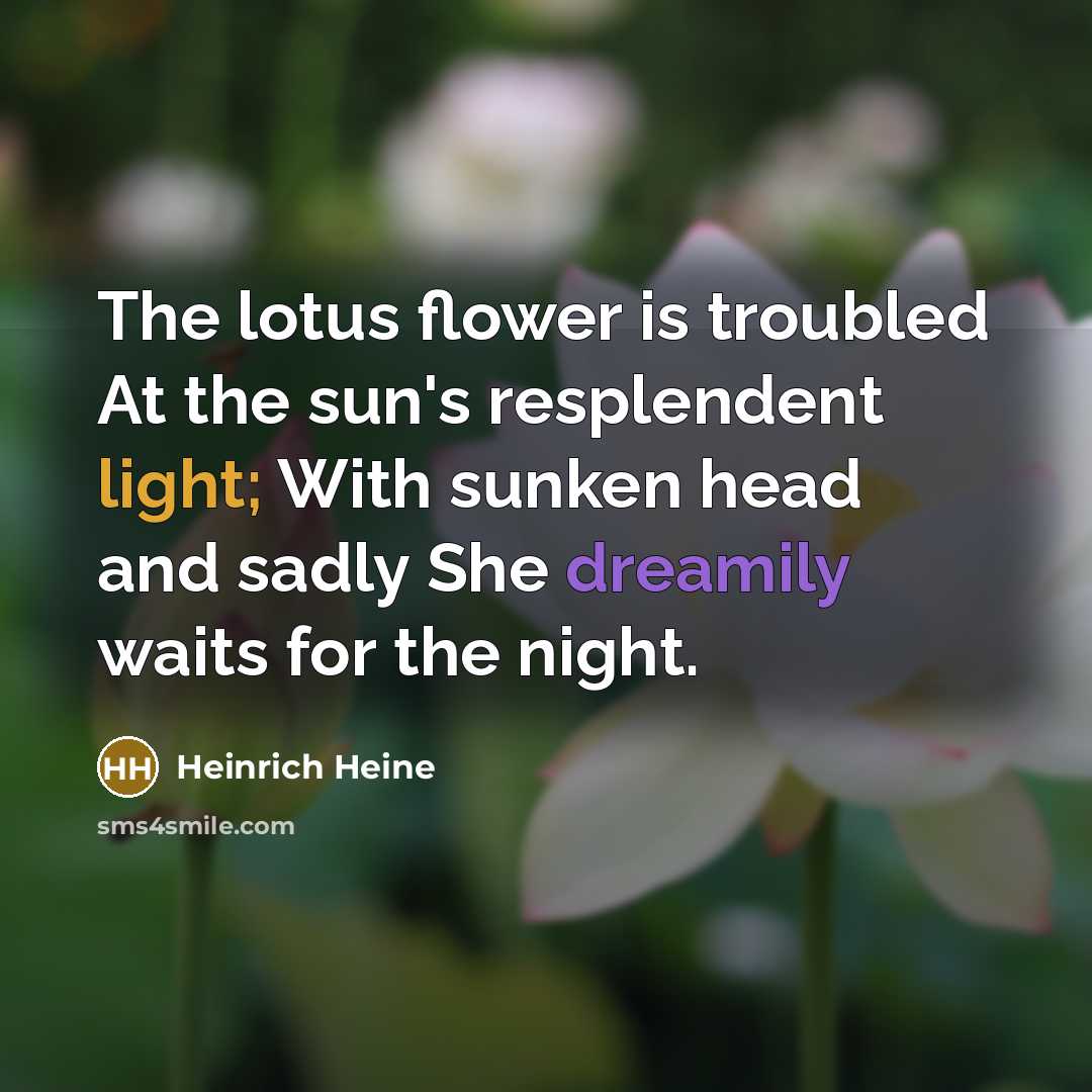 “The lotus flower is troubled At the sun's resplendent light;…” quote by Heinrich Heine