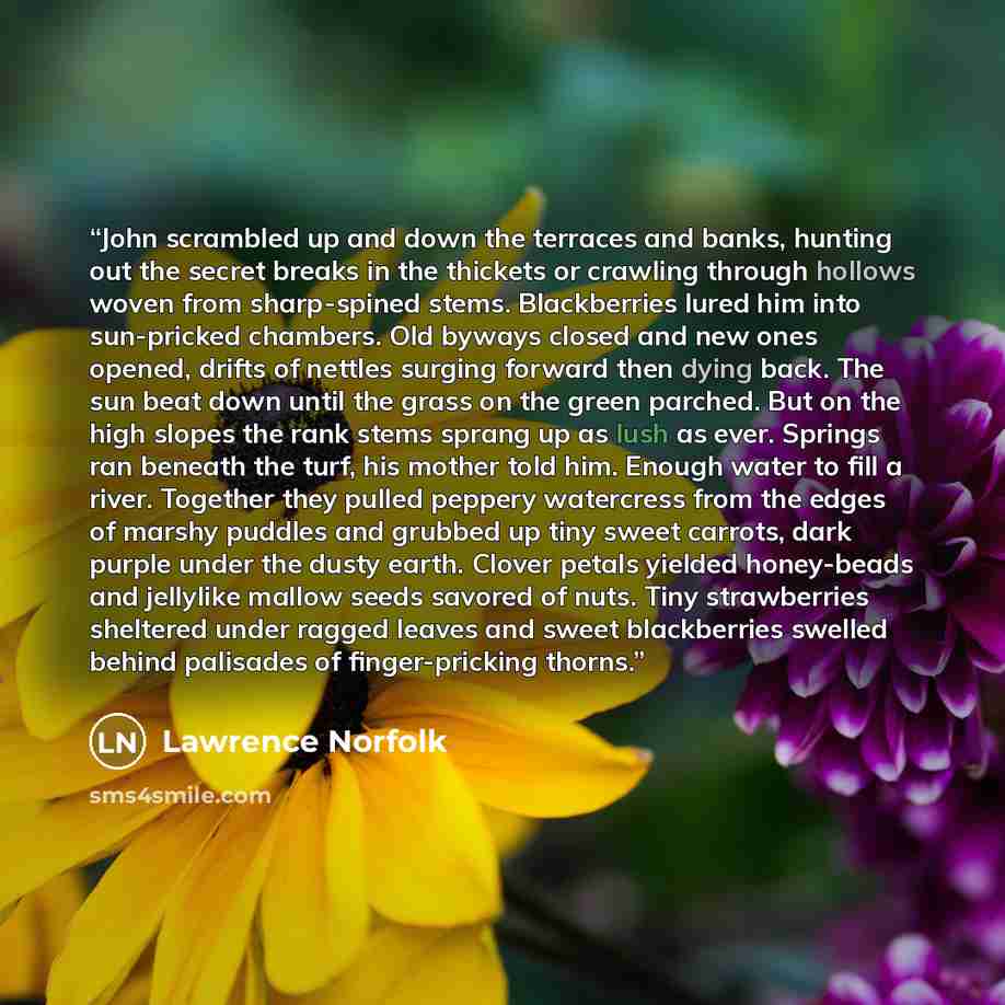 “John scrambled up and down the terraces and banks, hunting out the secret breaks in the thickets or crawling through hollows woven from sharp-spined stems. Blackberries lured him into sun-pricked chambers. Old byways closed and new ones opened, drifts of nettles surging forward then dying back…” quote by Lawrence Norfolk