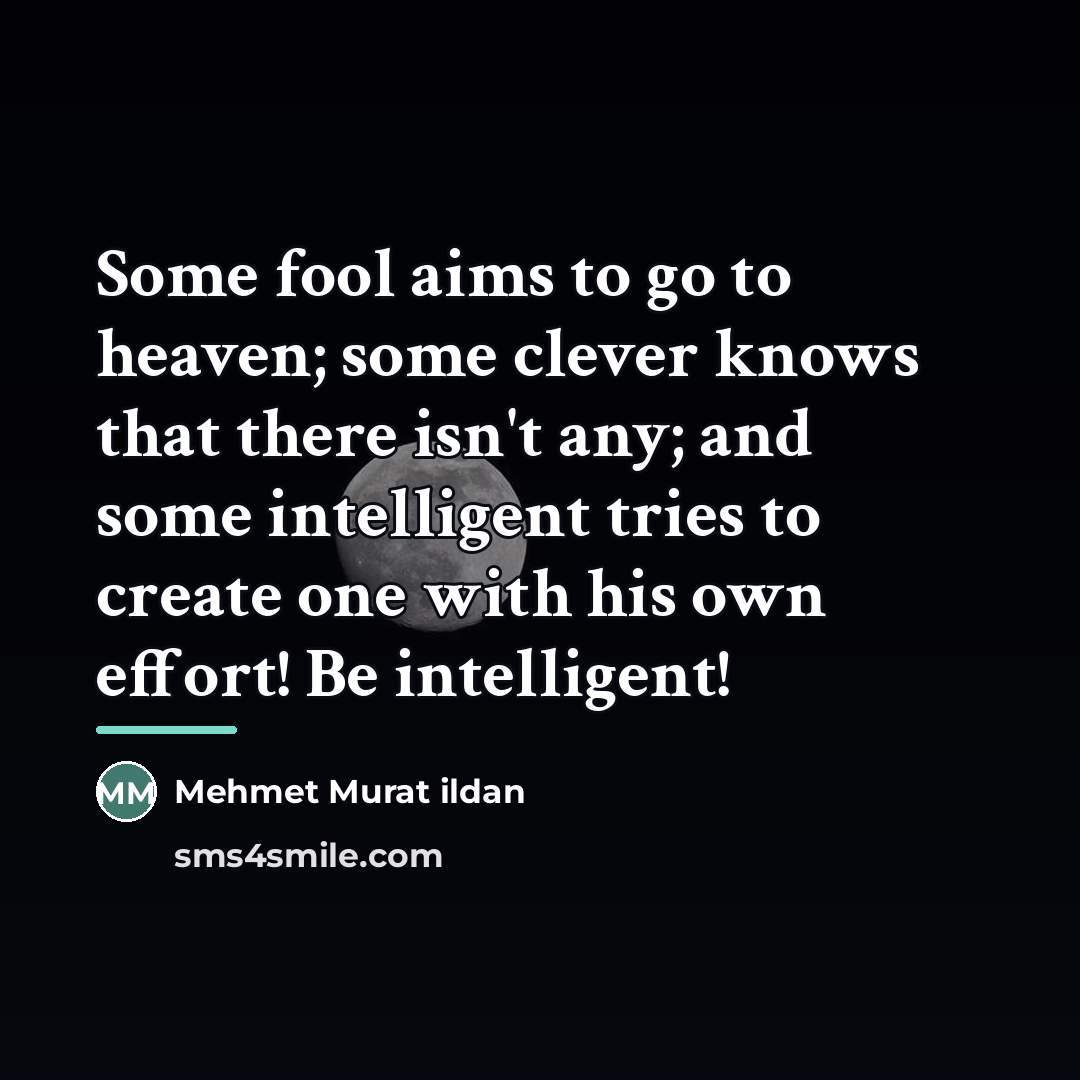 “Some fool aims to go to heaven; some clever knows…” quote by Mehmet Murat Ildan