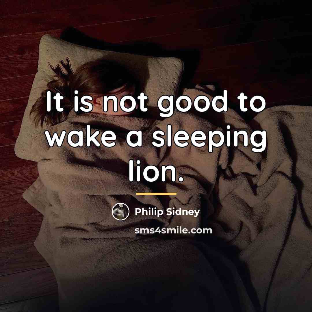 “It is not good to wake a sleeping lion.…” quote by Philip Sidney