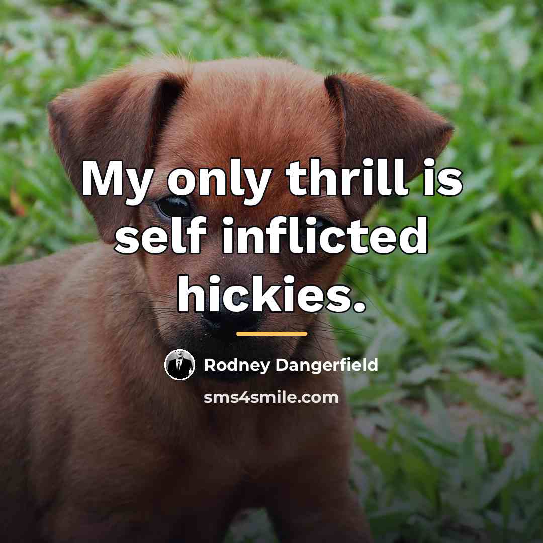 “My only thrill is self inflicted hickies.…” quote by Rodney Dangerfield