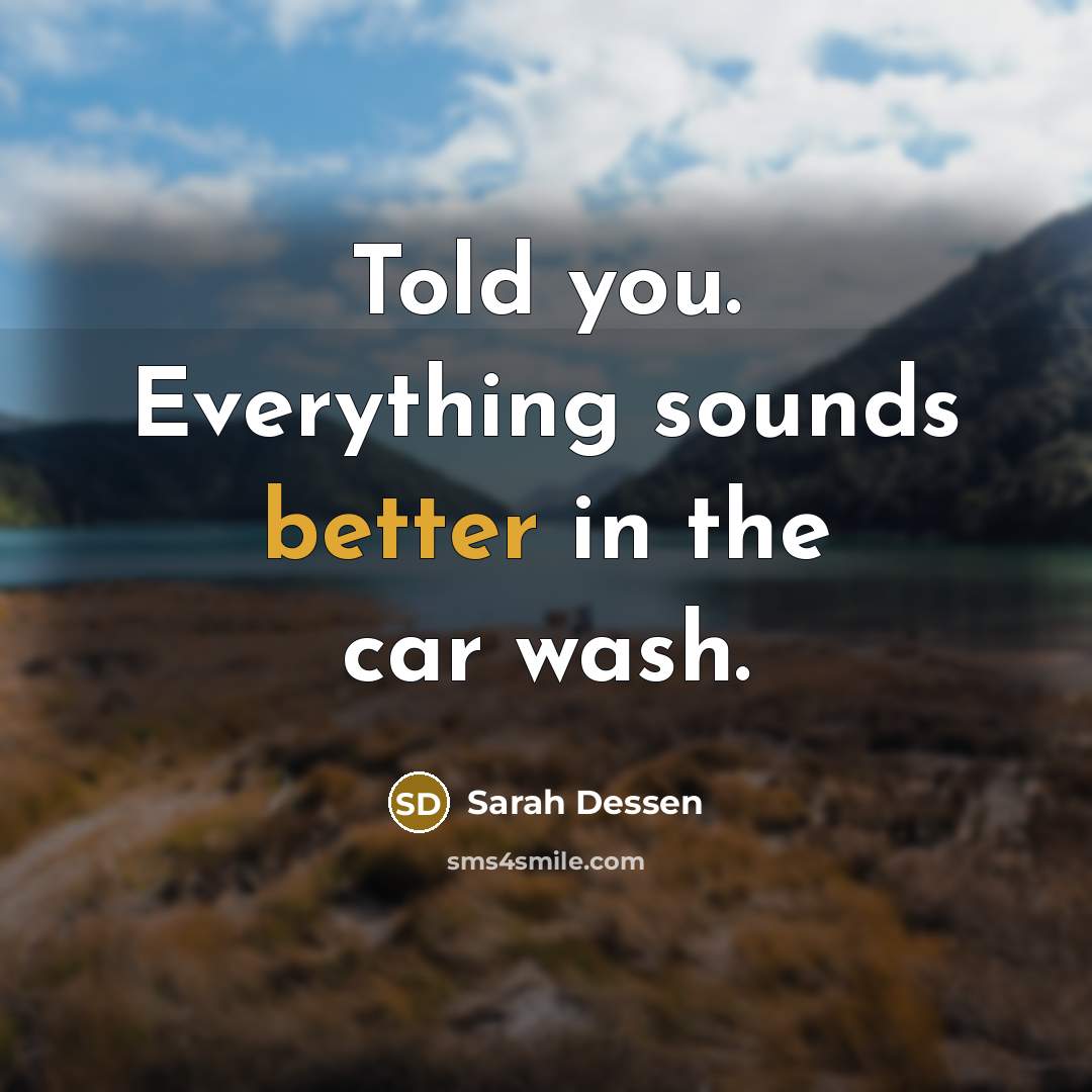 “Told you. Everything sounds better in the car wash.” quote by Sarah Dessen