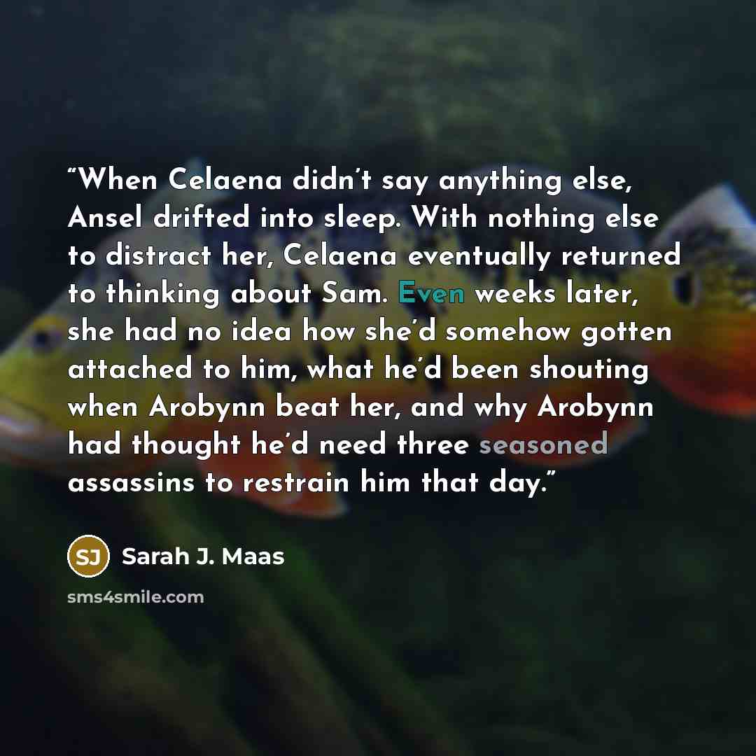 “When Celaena didn’t say anything else, Ansel drifted into sleep. With nothing else to distract her, Celaena eventually returned to thinking about Sam. Even weeks later, she had no idea how she’d somehow gotten attached to him, what he’d been shouting when Arobynn beat her, and why Arobynn had…” quote by Sarah J. Maas