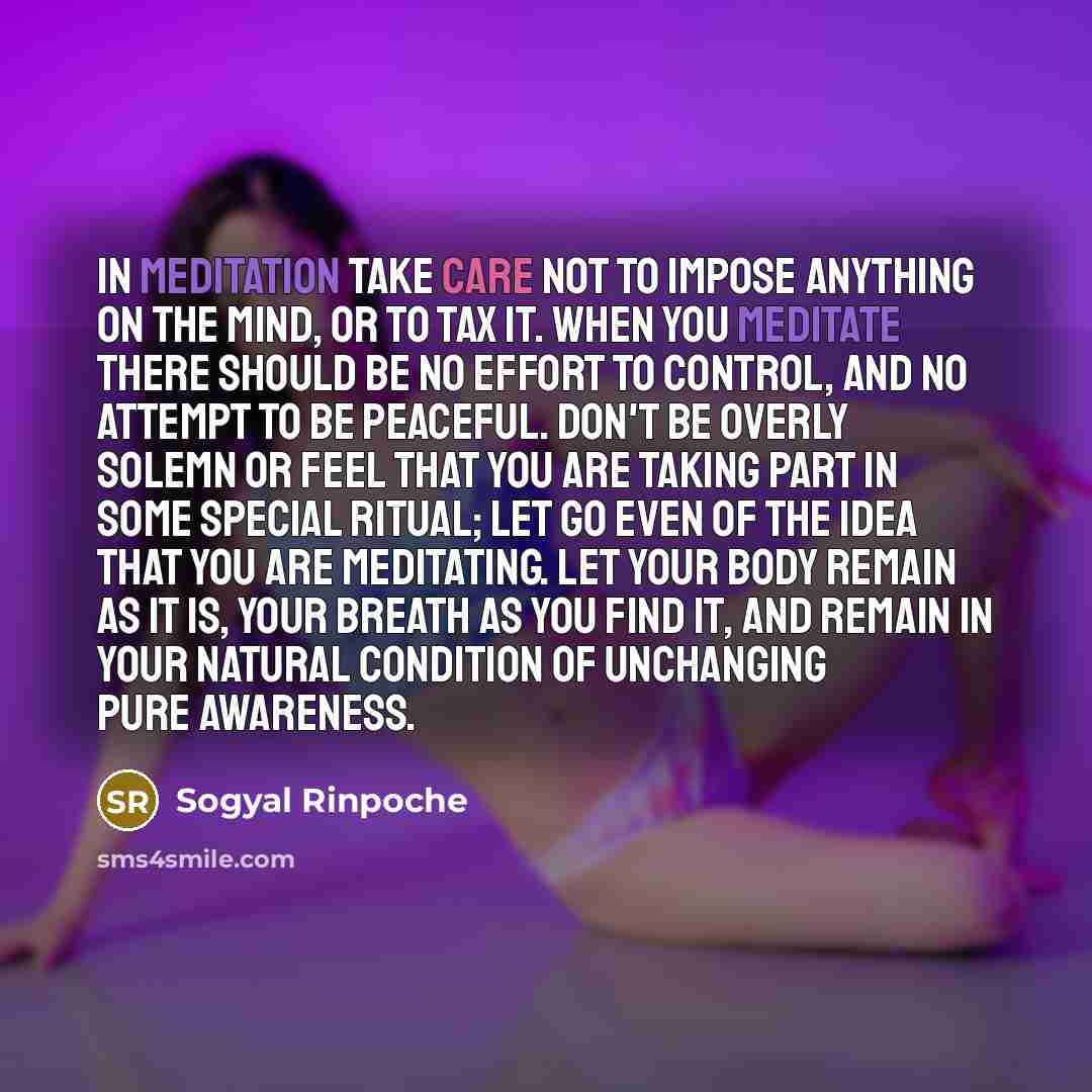 “In meditation take care not to impose anything on the…” quote by Sogyal Rinpoche