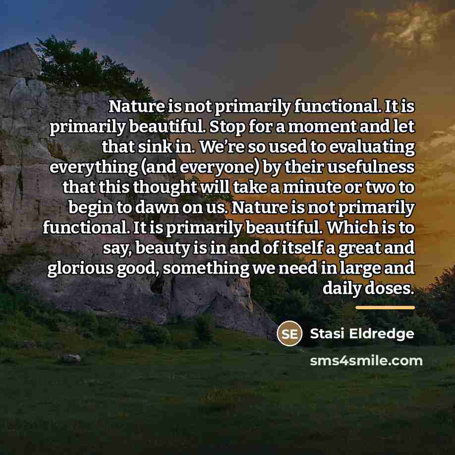 “Nature is not primarily functional. It is primarily beautiful. Stop…” quote by Stasi Eldredge