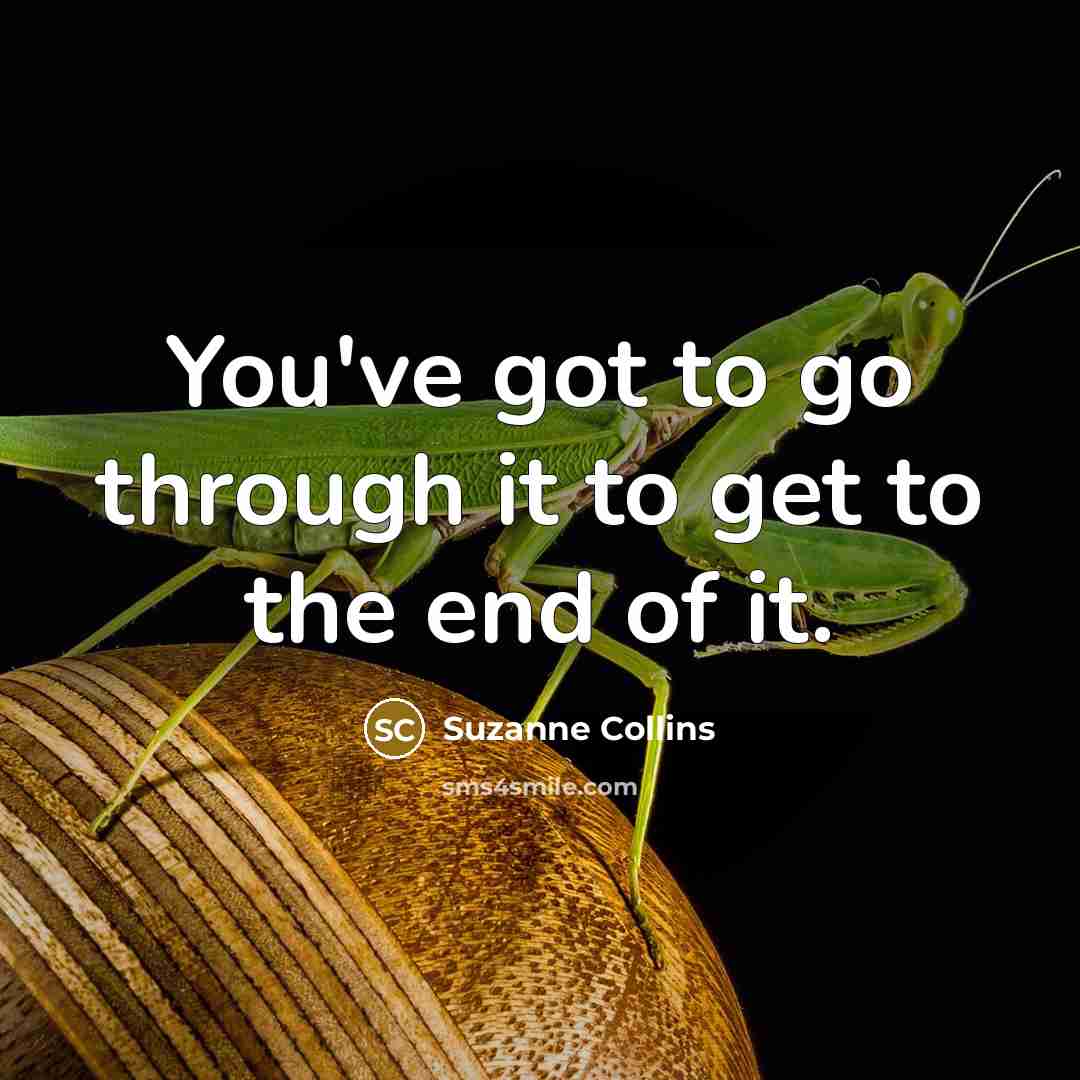 “You've got to go through it to get to the…” quote by Suzanne Collins