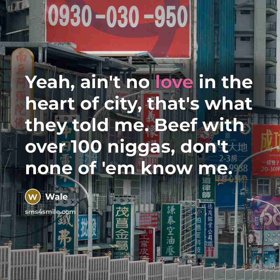 “Yeah, ain't no love in the heart of city, that's what they told me. Beef with over 100 niggas, don't none of 'em know me.” quote by Wale