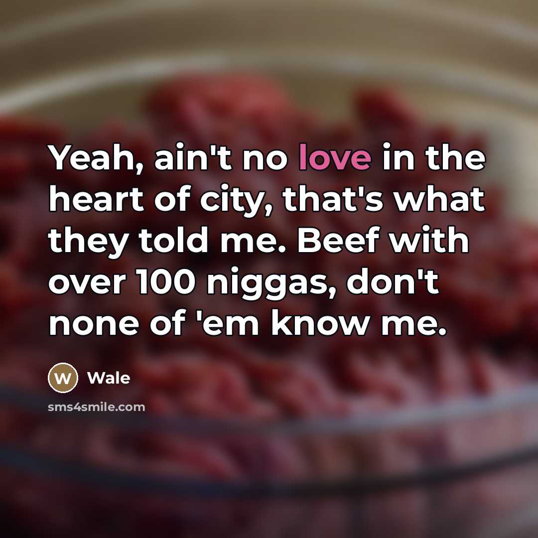 “Yeah, ain't no love in the heart of city, that's…” quote by Wale