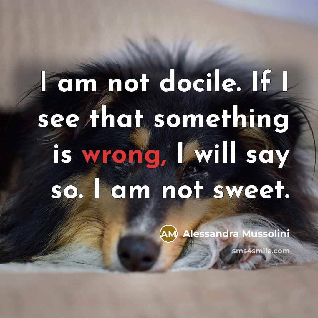 “I am not docile. If I see that something is…” quote by Alessandra Mussolini