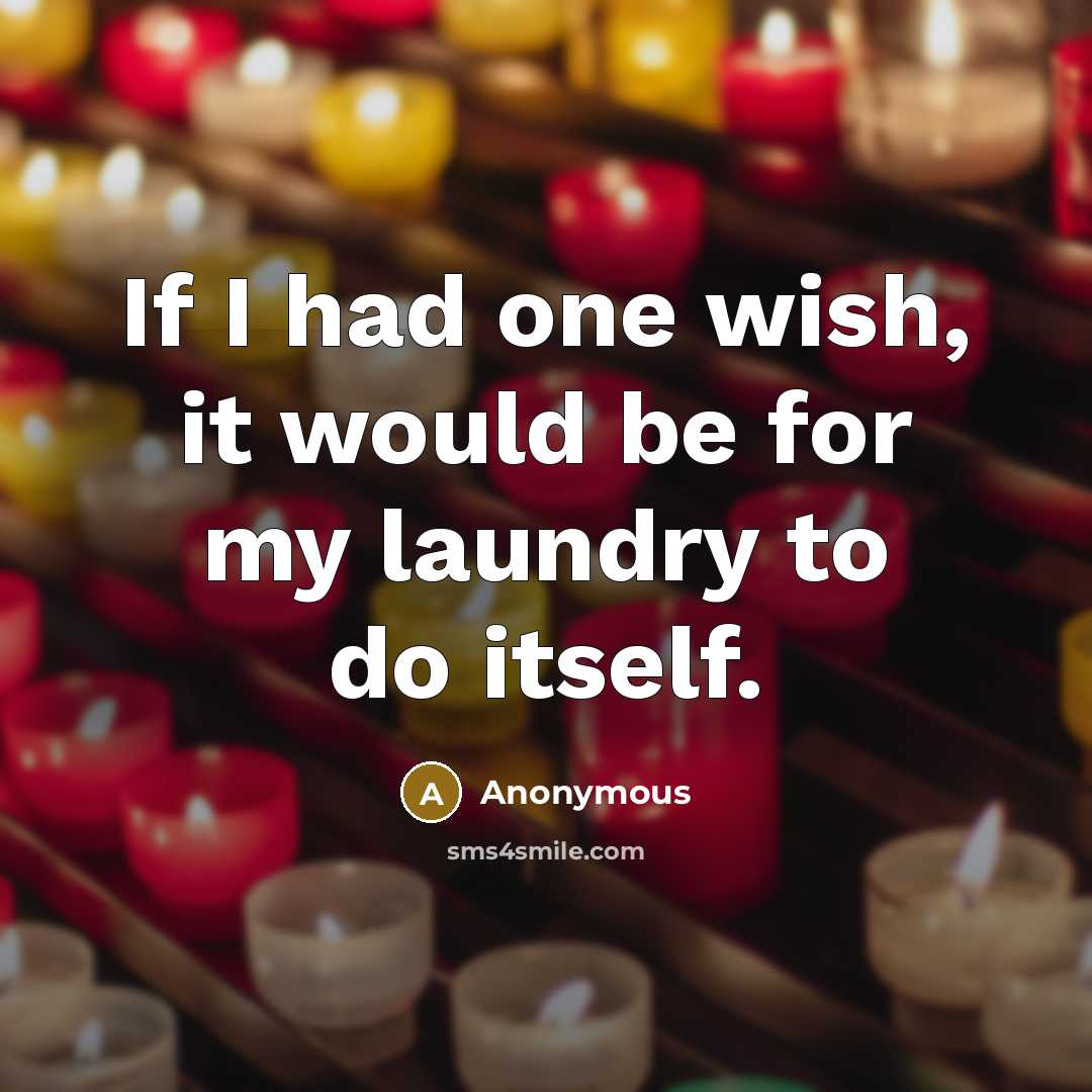 “If I had one wish, it would be for my laundry to do itself.” quote by Anonymous