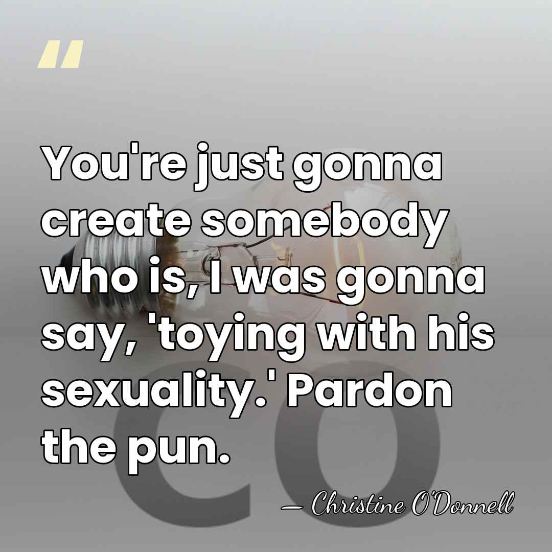 You're just gonna create somebody who is, I was gonna say, 'toying&hellip; - Christine O'Donnell