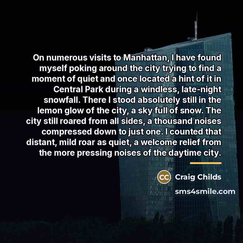 “On numerous visits to Manhattan, I have found myself poking…” quote by Craig Childs