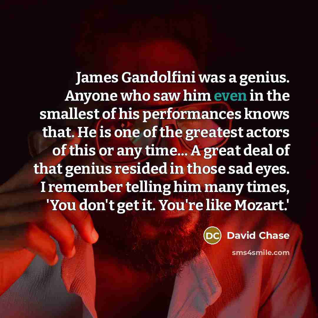 “James Gandolfini was a genius. Anyone who saw him even…” quote by David Chase