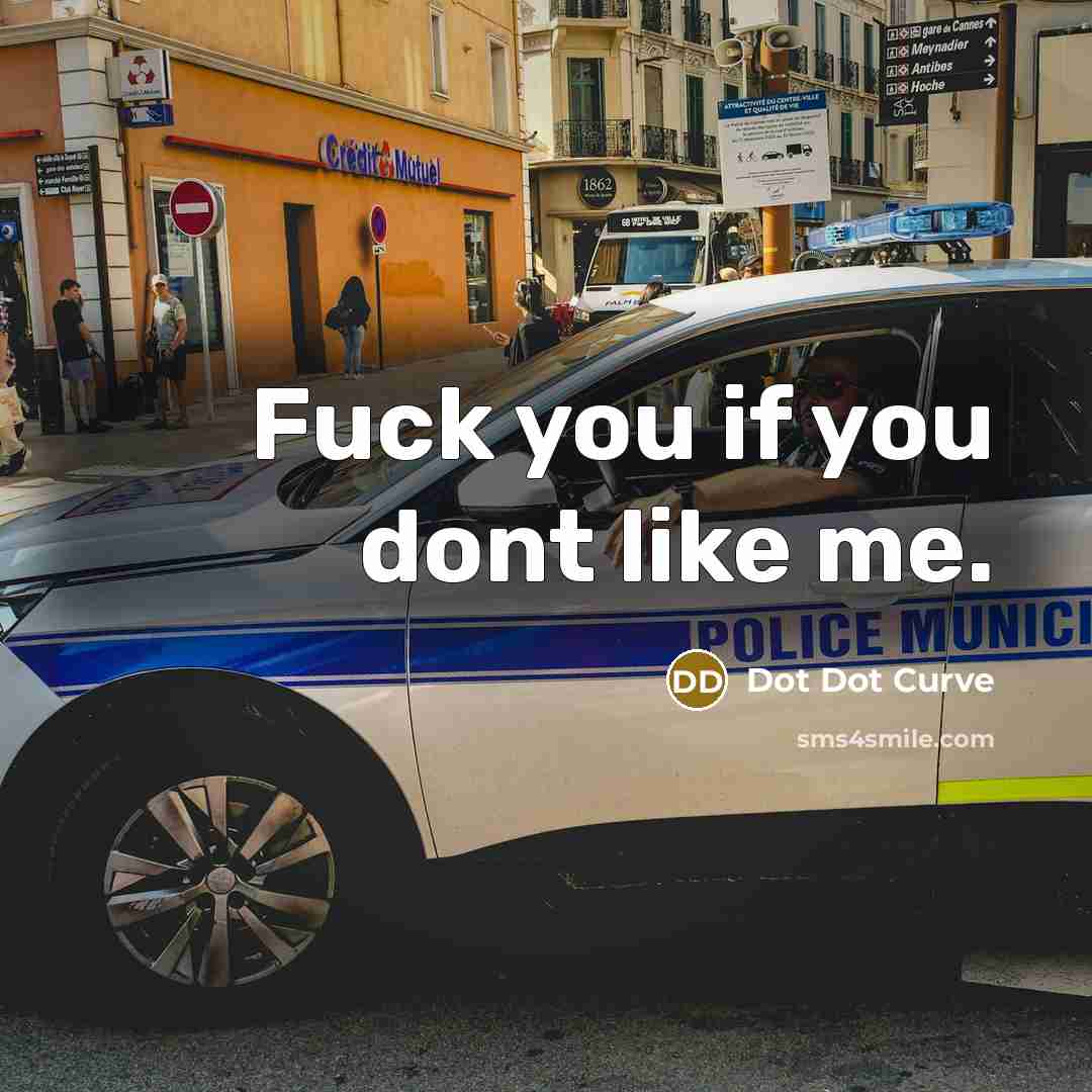 “Fuck you if you dont like me.” quote by Dot Dot Curve