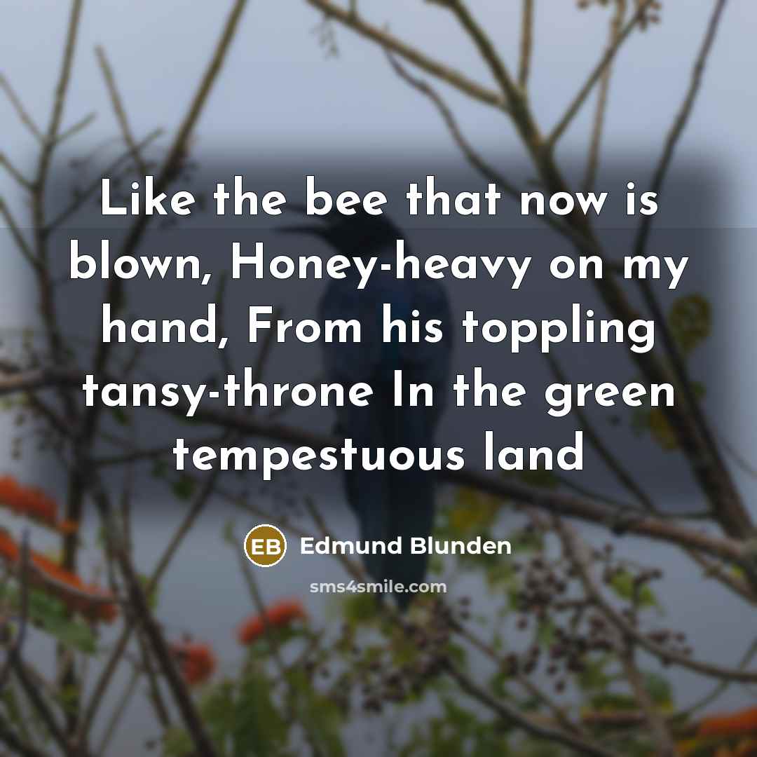 “Like the bee that now is blown, Honey-heavy on my…” quote by Edmund Blunden