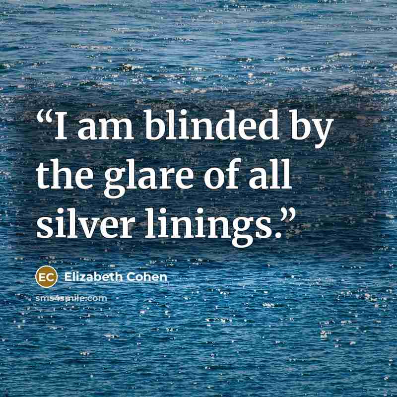 “I am blinded by the glare of all silver linings.” quote by Elizabeth Cohen